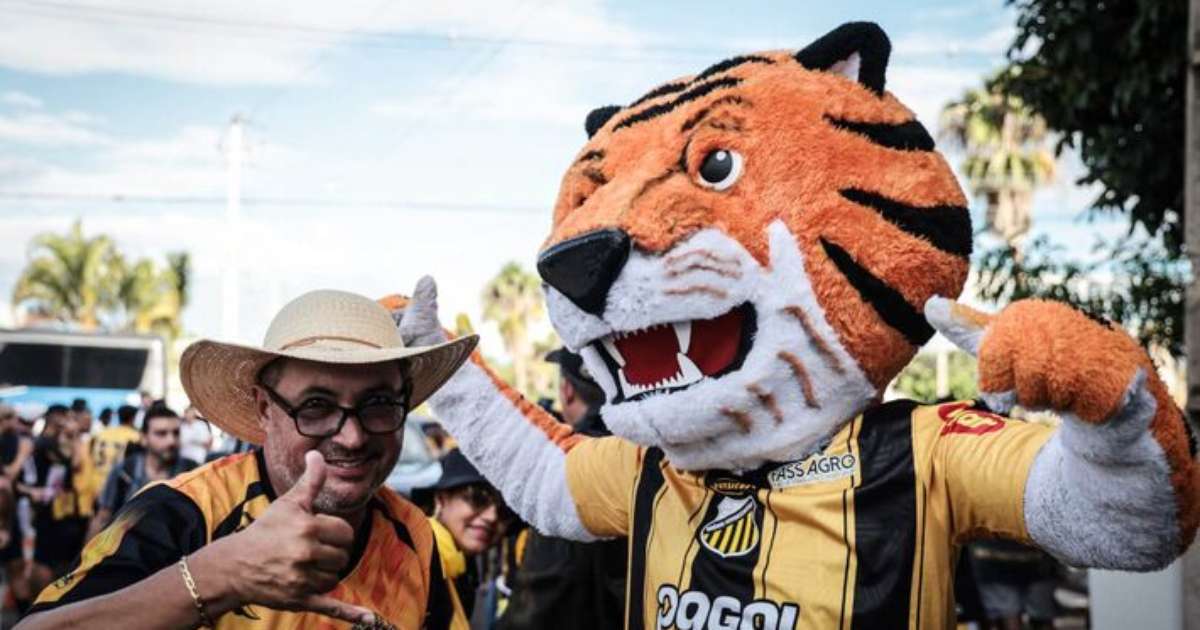 Novorizontino Celebra com Grande Festa a Chegada à Final do Paulistão
