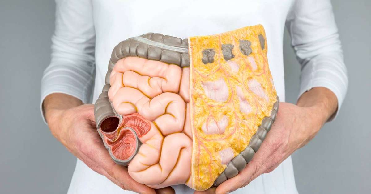 Biohacking do intestino: estratégias para maximizar sua saúde