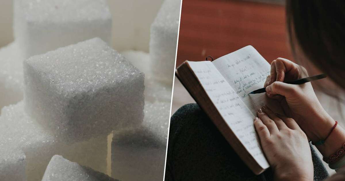 Depois de estudar moscas, cientistas chegaram a uma conclusão: comer açúcar depois de estudar é uma boa ideia