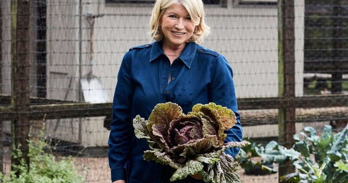 Martha Stewart, aos 84 anos: "Caminho bastante, três vezes por semana faço sessões de Pilates de 45 minutos e duas vezes por semana uso halteres e aparelhos; uso praticamente os mesmos pesos de sempre, então estou muito forte"
