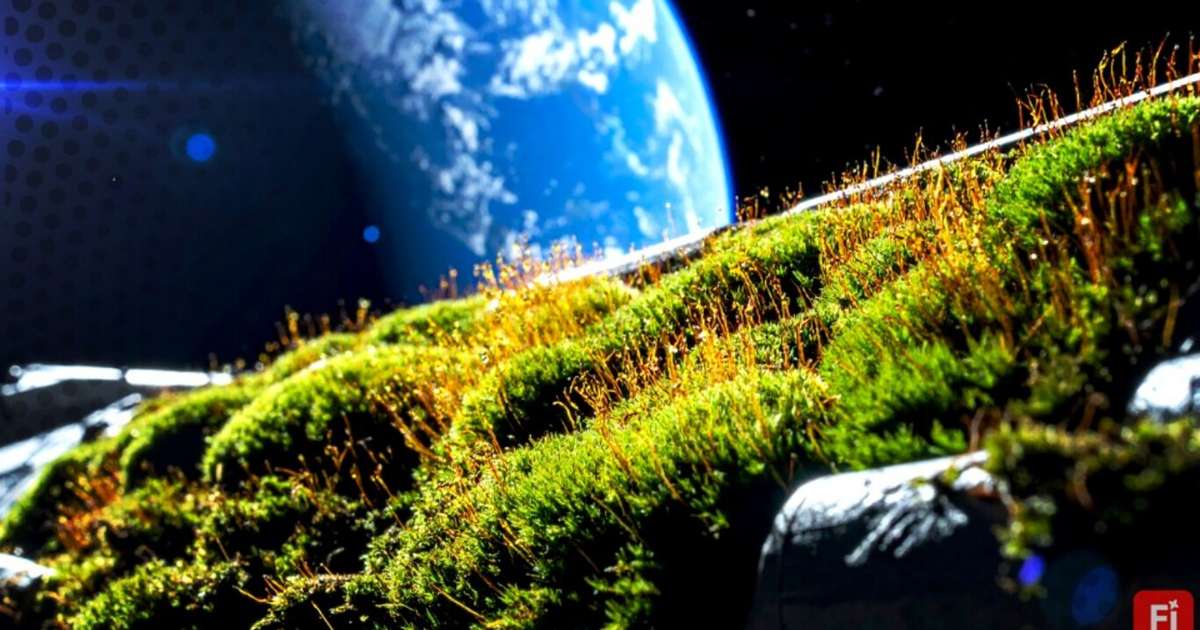 Pesquisadores colaram musgo na parte externa da Estação Espacial Internacional (ISS) por 283 dias - para nós, um primeiro passo para tornar mundos extraterrestres mais verdes