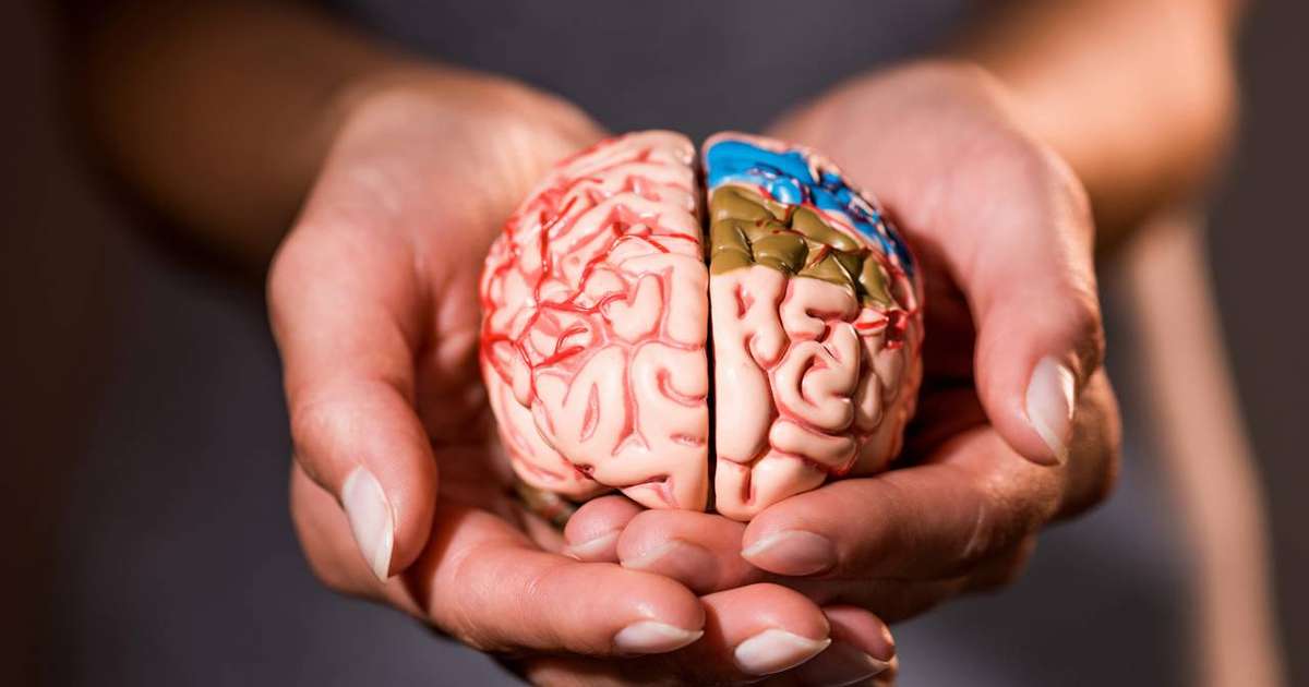 Quando os sentidos se misturam: o fascinante fenômeno da sinestesia leve e o que ele diz sobre percepção e criatividade