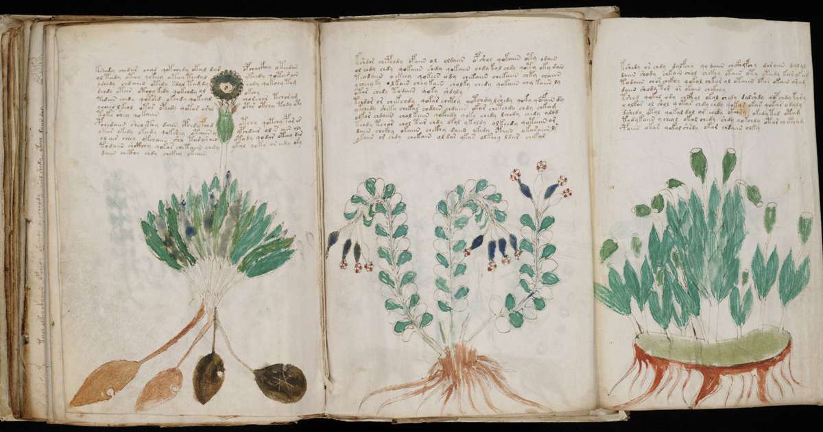 O livro que ninguém entende: como a IA tenta decifrar o misterioso Manuscrito Voynich do século XV