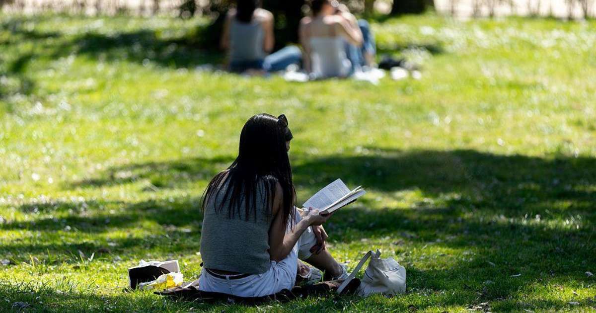 O que é a leitura profunda e por que ela faz bem para o cérebro