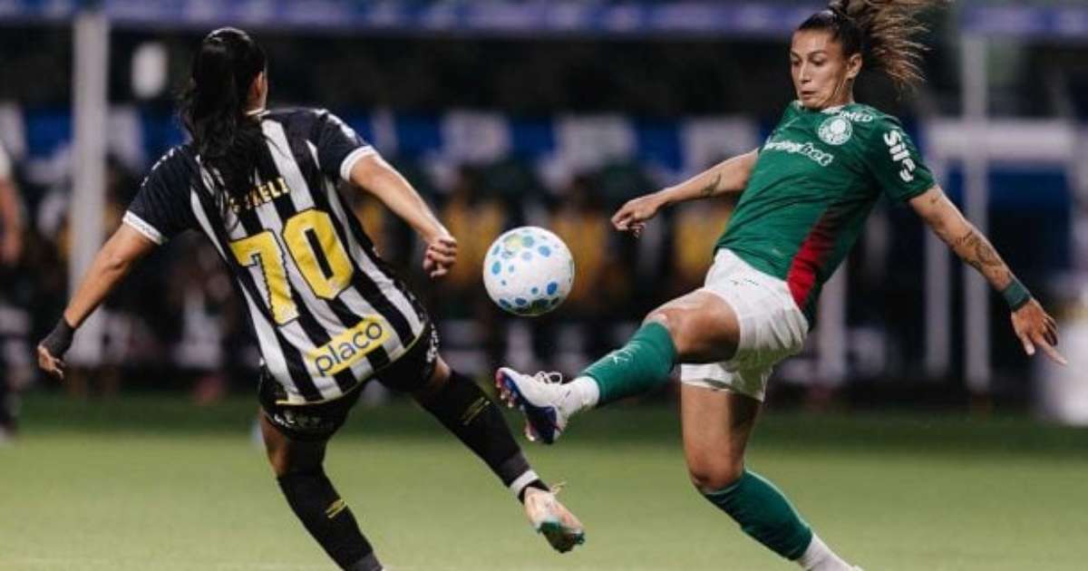 Empate Tenso: Palmeiras e Santos Se Enfrentam em Jogo Marcado por Puxão de Cabelo e Conflitos em Campo