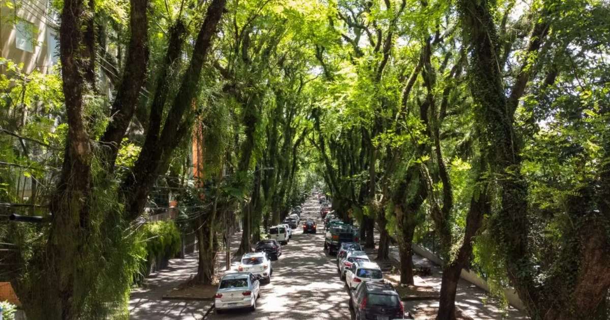 Imagem da Notícia
