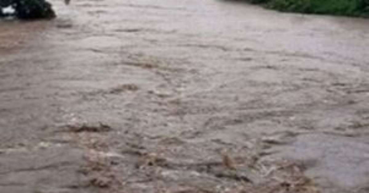 Alerta Amarelo: Chuva Intensa: o que precisa saber — image 1