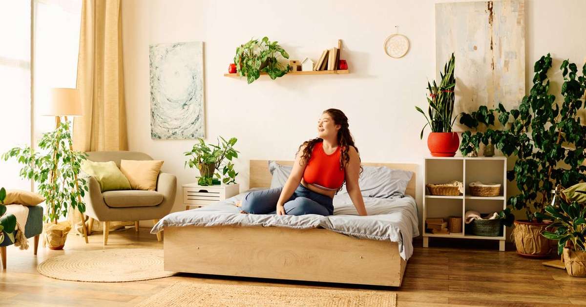 Dormir com plantas no quarto faz mal? A ciência explica por que o mito do "consumo de oxigênio" não se sustenta