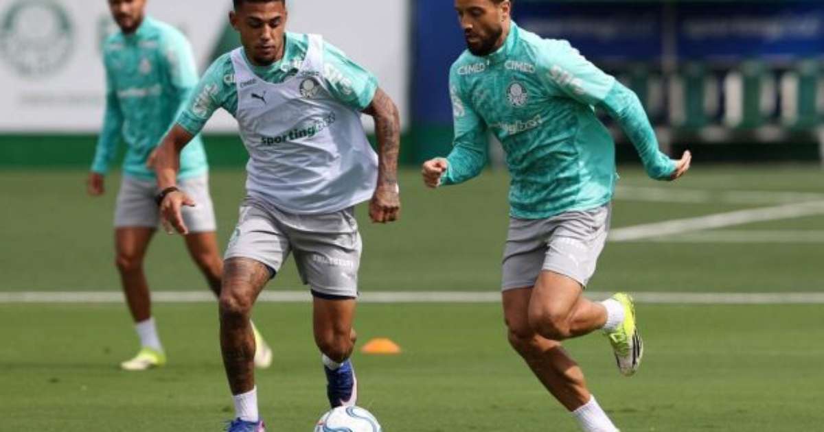 Palmeiras leva 25 atletas para confronto decisivo pela liderança da Libertadores