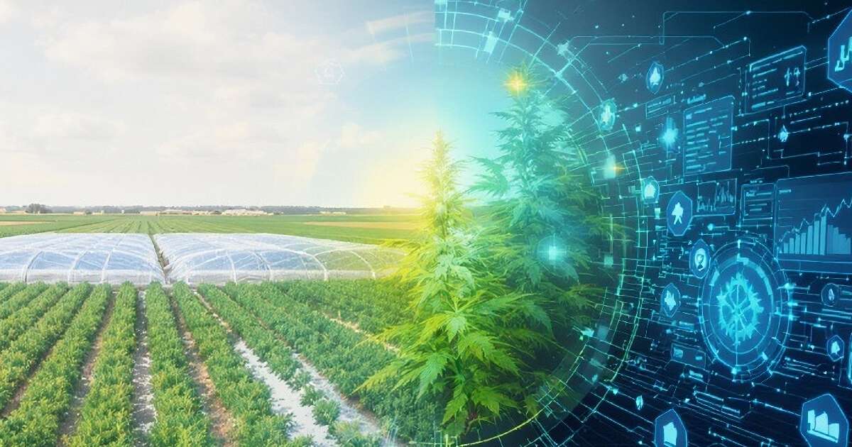Nem tratores, nem agricultores: a China revela a megaestrutura bizarra perfeita para cultivar comida fresca, barata e infinita para alimentar bilhões de pessoas