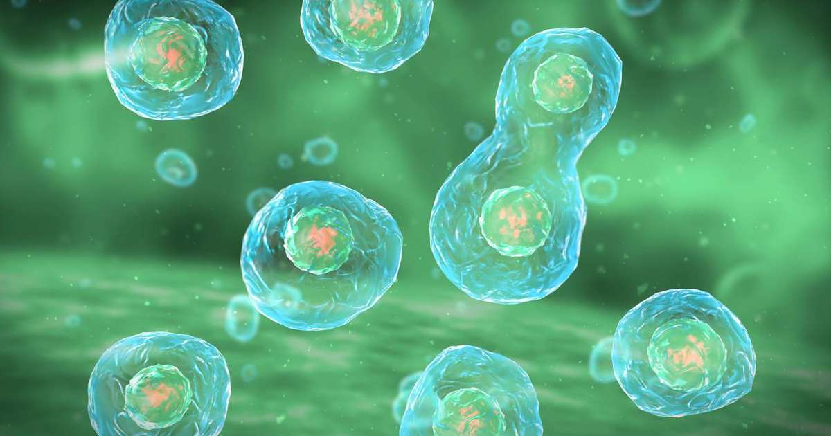 Como robôs microscópicos programados com DNA podem atacar tumores sem destruir tecidos saudáveis
