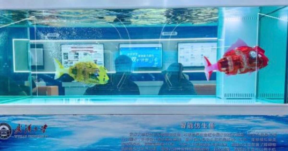 Carpa biônica é segredo da marinha chinesa para saber as condições do mar - e quem sabe as dos inimigos