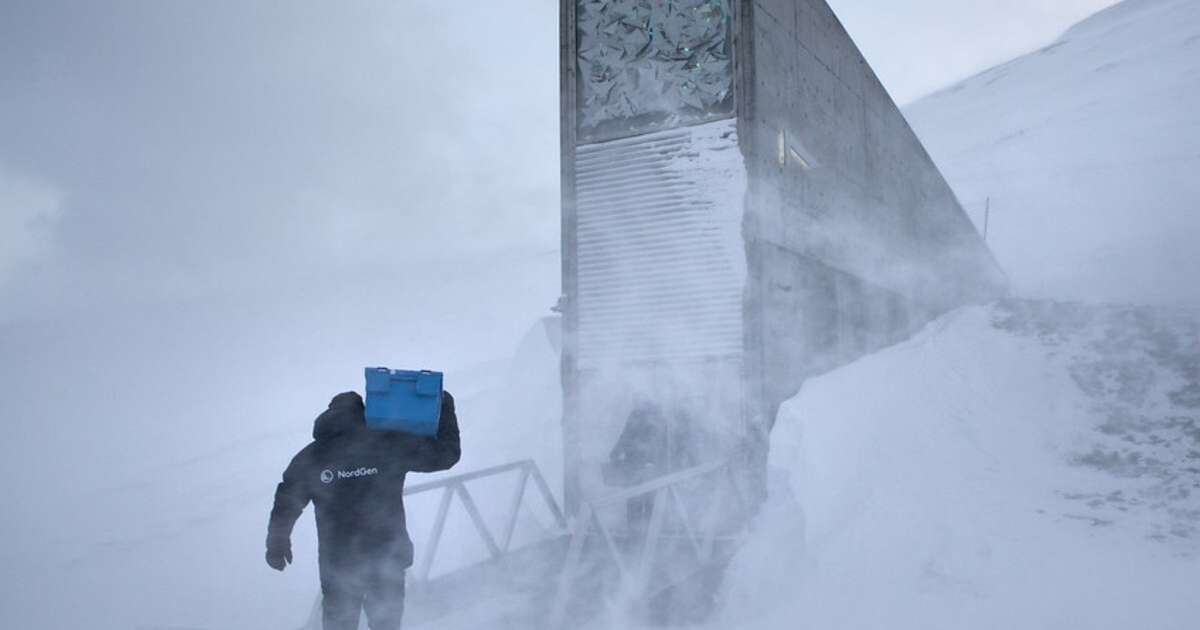 Noruega esconde um contêiner blindado a -18°C com um tesouro capaz de salvar a humanidade do apocalipse