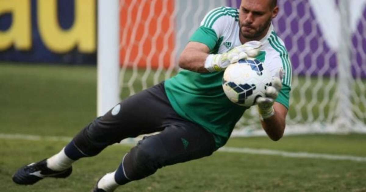 Ex-Goleiro do Palmeiras em Busca de Novas Oportunidades no Futebol Através do LinkedIn