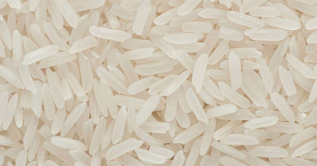 O segredo escondido nos grãos de arroz que pode revolucionar a robótica e a engenharia