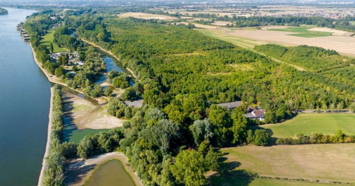 Os arqueólogos pensavam que se tratava do leito de um antigo rio Reno; o que encontraram sob um acampamento germânico mudou para sempre o que sabíamos sobre Roma