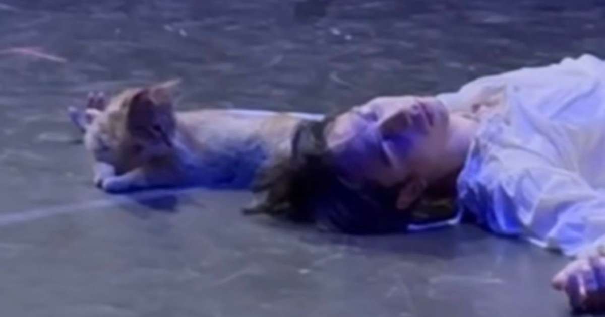 Gato invade palco na turquia e surpreende bailarino brasileiro: "Achei que era um pássaro"; veja vídeo