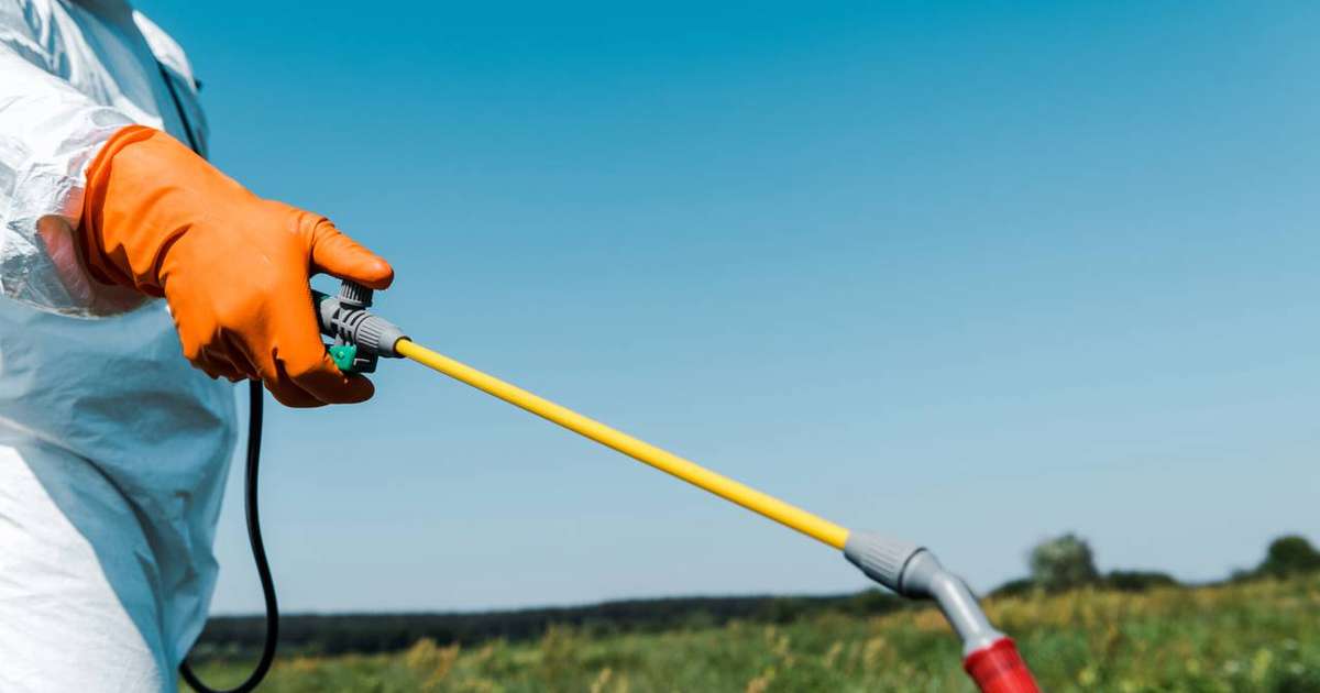 Herbicida mais usado do mundo pode estar ajudando superbactérias resistentes a antibióticos, aponta estudo