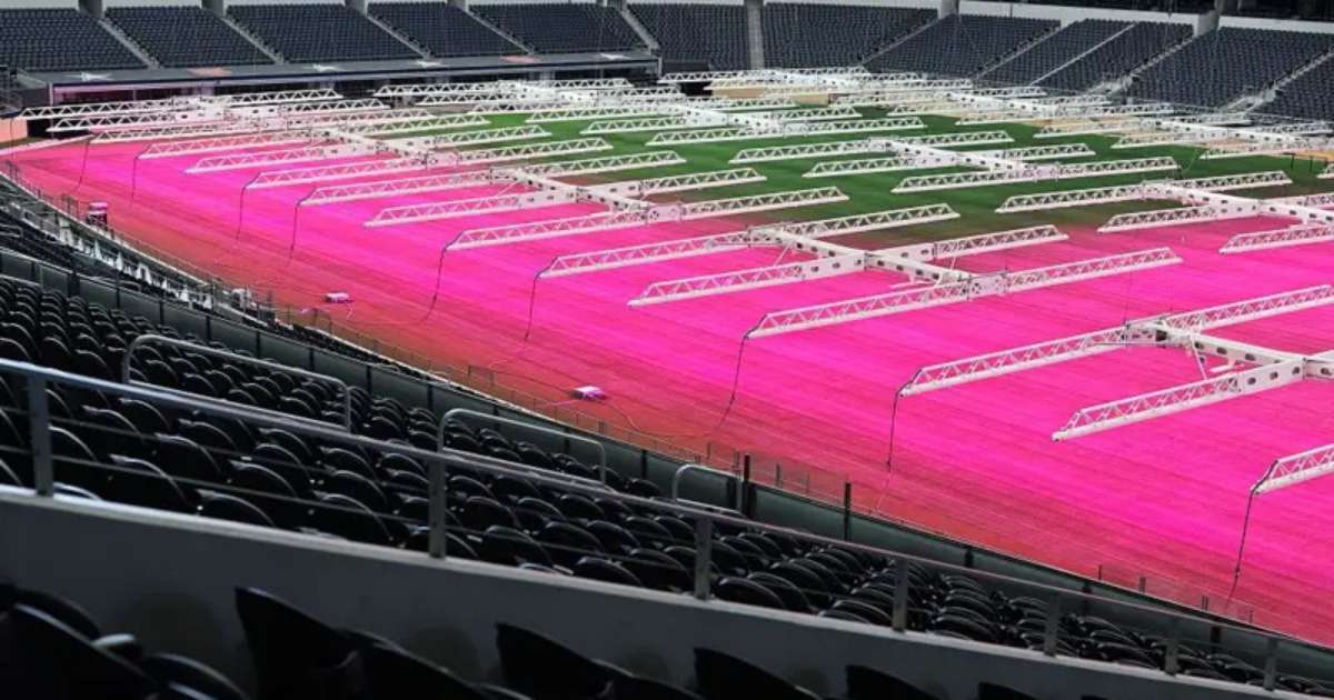 Gramado rosa chama atenção em estádio da Copa antes de Japão e Suécia