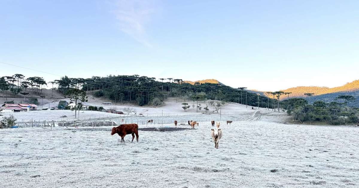 Frio intenso e geadas marcam previsão do tempo nesta quarta-feira