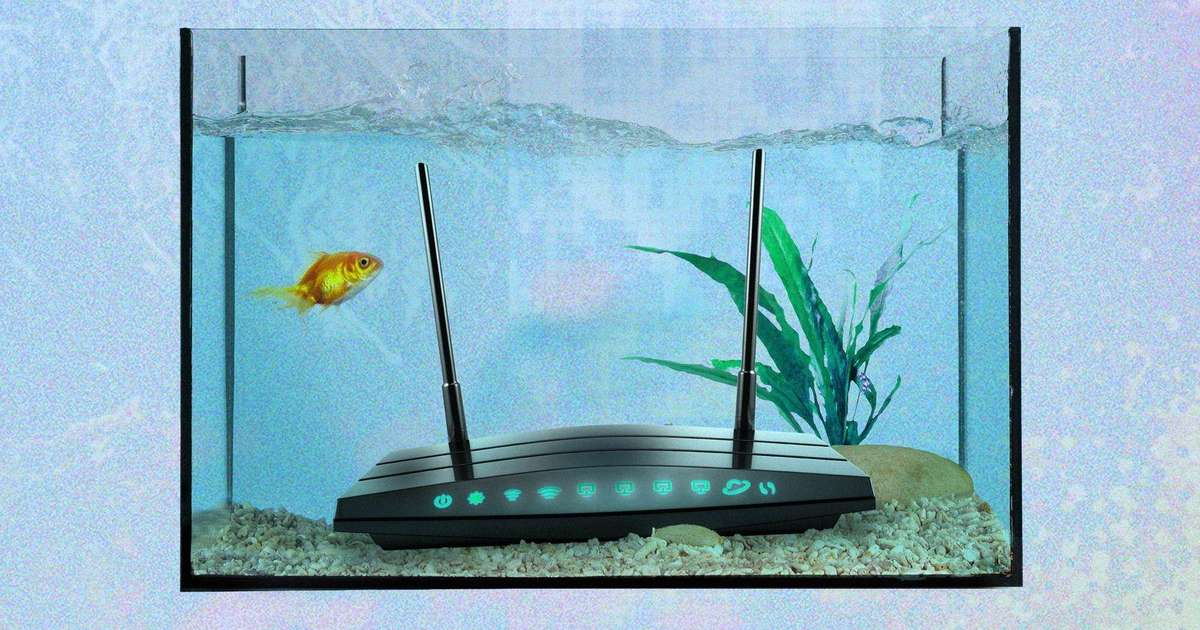 As coisas mais estranhas que podem piorar o sinal de wi-fi da sua casa