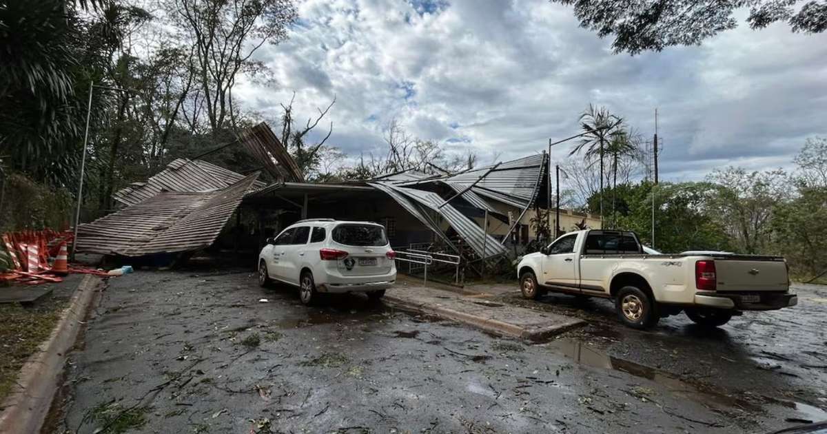 Ventos acima de 90 km/h: os cuidados que especialistas recomendam para evitar acidentes