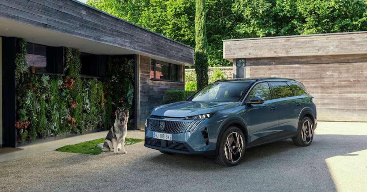 Bom para cachorro: Peugeot lança conceito pensado no bem-estar dos cães