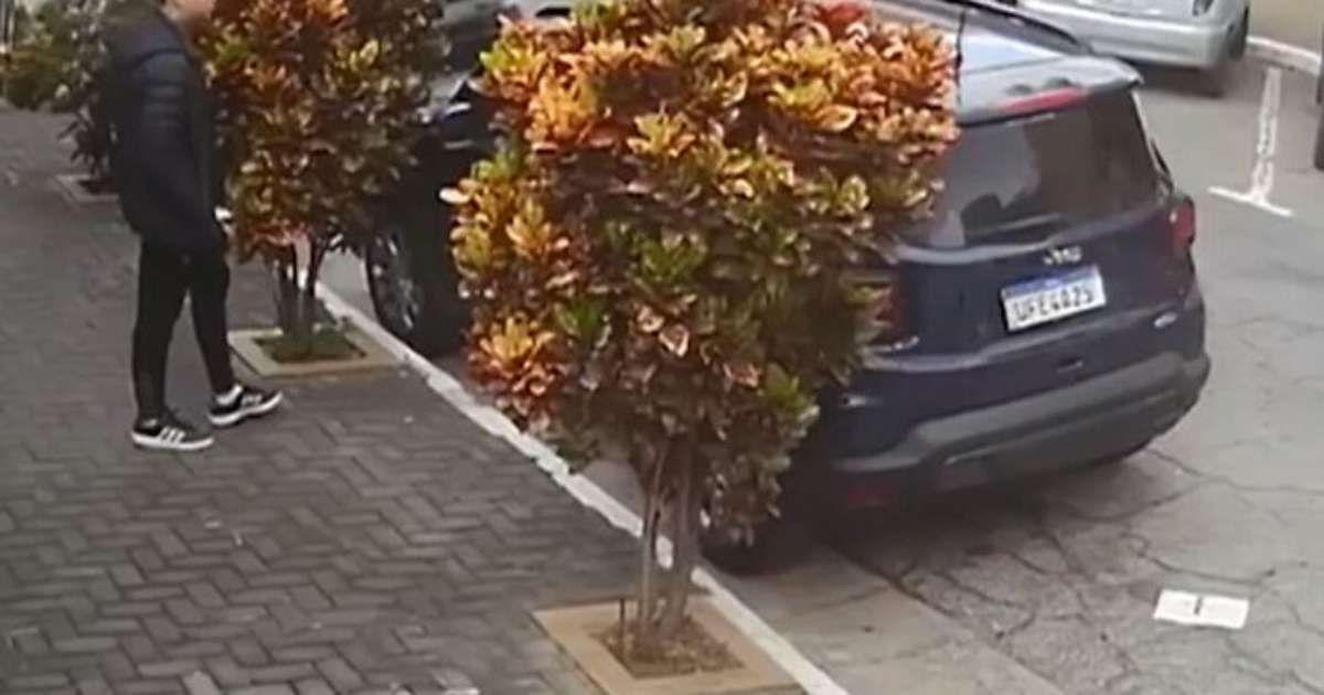 Polícia prende chefe de quadrilha que usava aplicativo de celular para furtar carros em SP