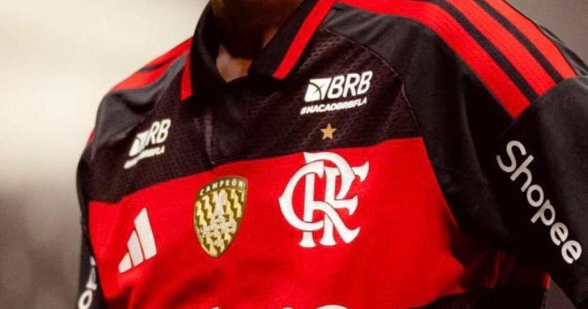 Flamengo Responde Palmeiras e Destaca Números do VAR em Defesa de Suas Alegações