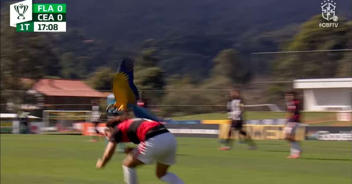 Imagem da Notícia