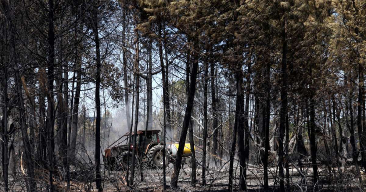 Incêndios, ondas de calor e seca fazem de julho de 2026 o mês mais quente da história da França