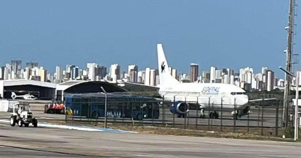 Teia de aranha é capaz parar um avião