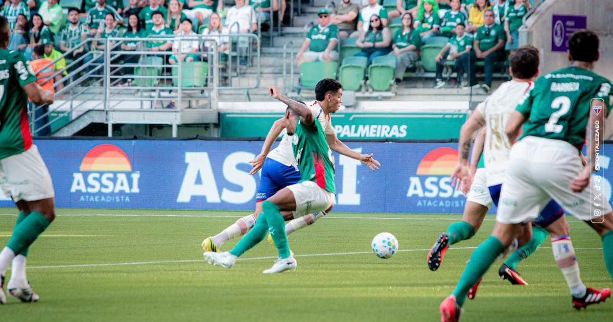 Palmeiras Enfrenta Erros Arbitrais em Partida Decisiva