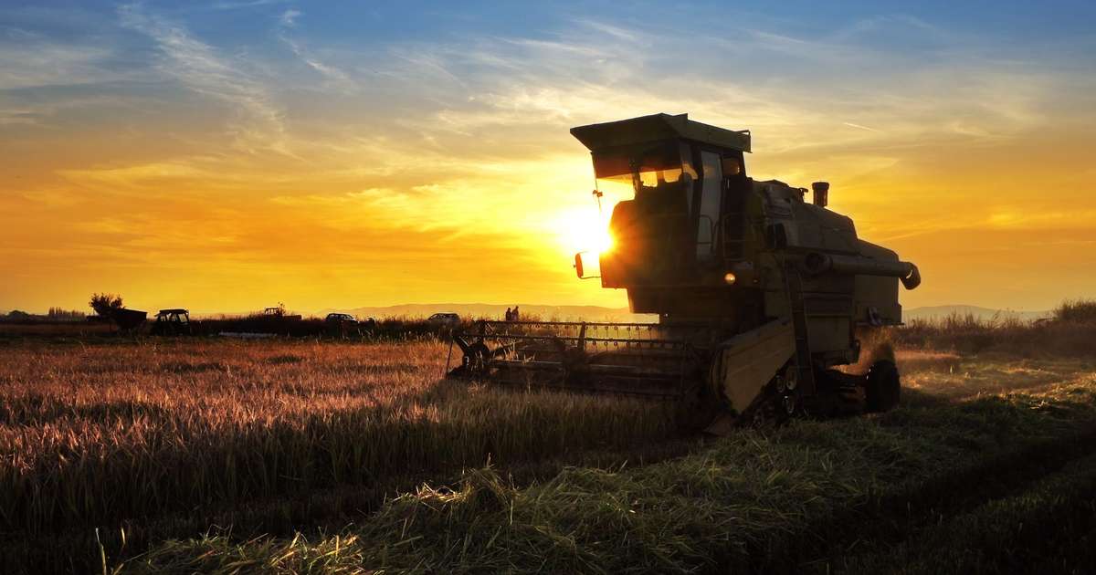 O mercado bilionário que o agronegócio brasileiro pode perder