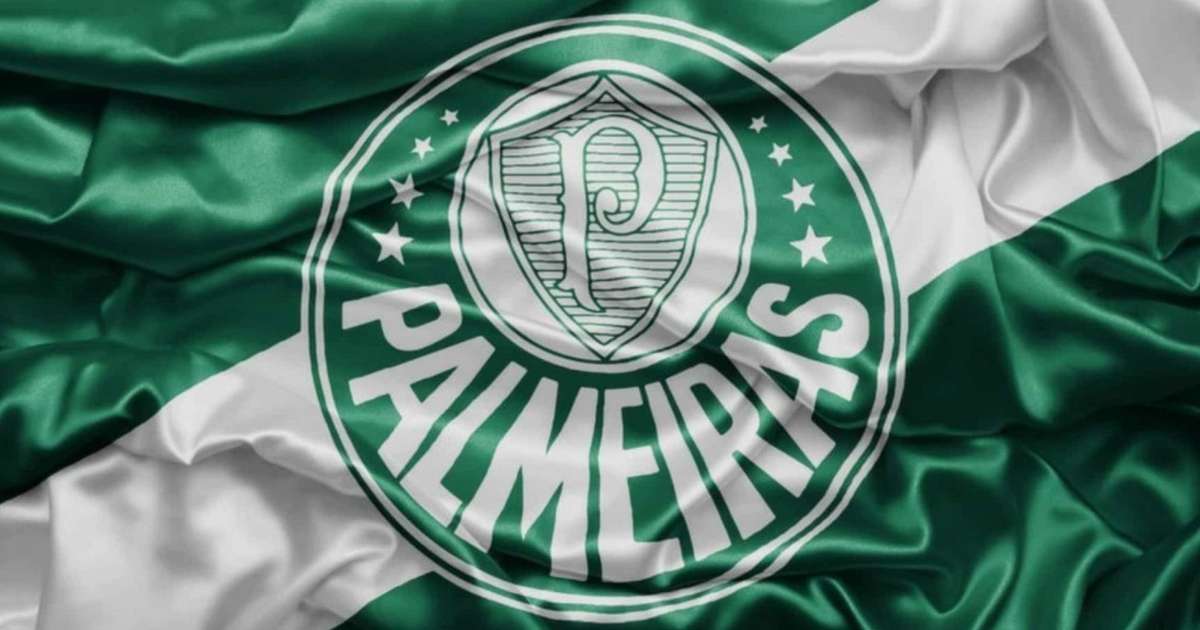 Vídeo: pênalti não é marcado contra o Palmeiras na Libertadores 