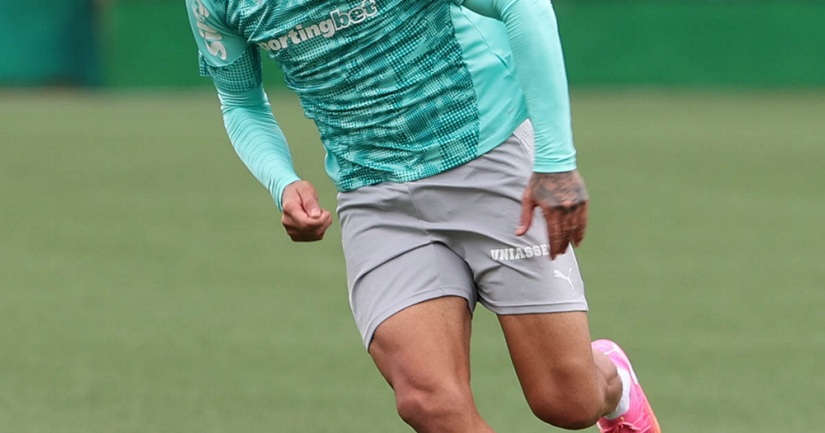 Gustavo Gómez Analisa Confronto Decisivo entre Fluminense e Palmeiras: Expectativas e Estratégias