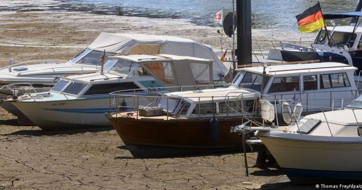 Crise climática avança, mas ativismo perde força na Alemanha