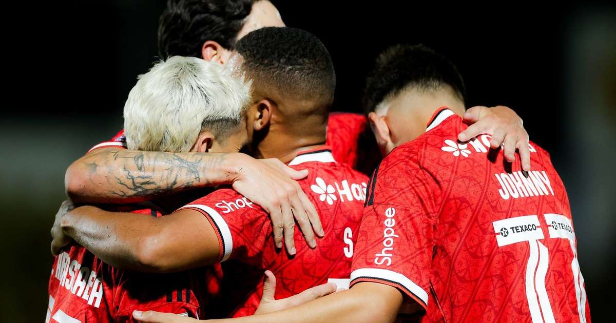 Análise das Chances do Flamengo na Luta pelo Título do Brasileirão 2023