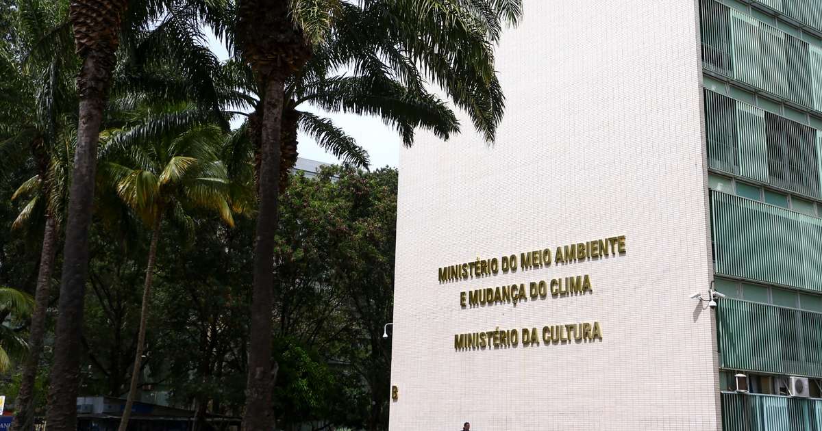 Candidatos a presidente não tratam a cultura como suporte para o desenvolvimento, dizem especialistas