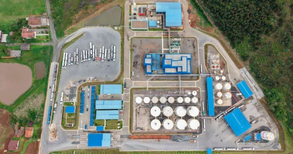 Gordura da picanha pode abastecer o seu caminhão; Entenda