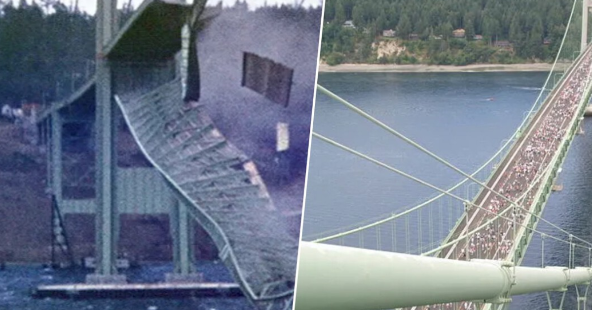 O desabamento da ponte mais famosa da história não só acabou com a vida de um cachorro: também mudou a engenharia para sempre