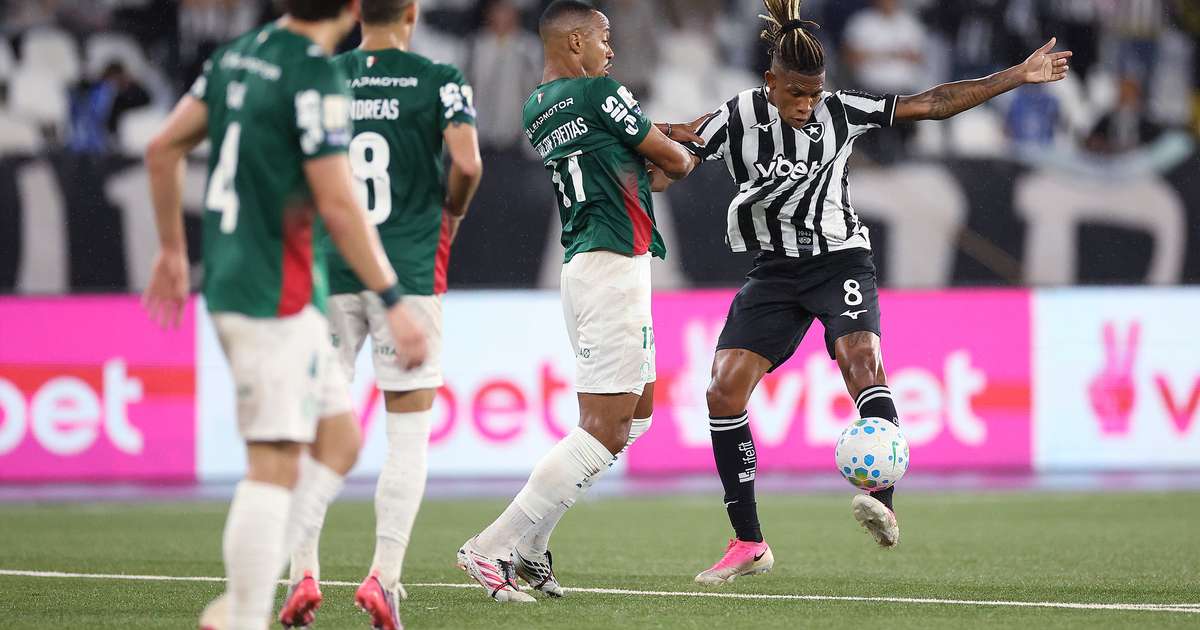 Botafogo empata sem gols com o Palmeiras e encerra sequência de derrotas