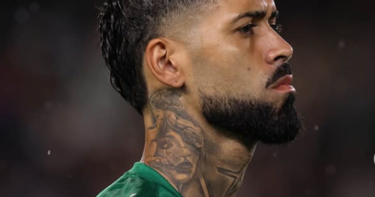 Vídeo: Veja o lance da expulsão de Barboza em Botafogo x Palmeiras