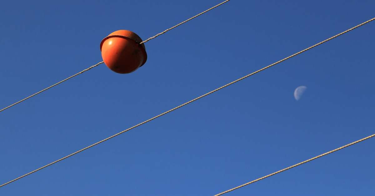 Por que existem bolas laranjas penduradas nos cabos de alta tensão? A resposta não tem nada a ver com eletricidade e pode salvar vidas