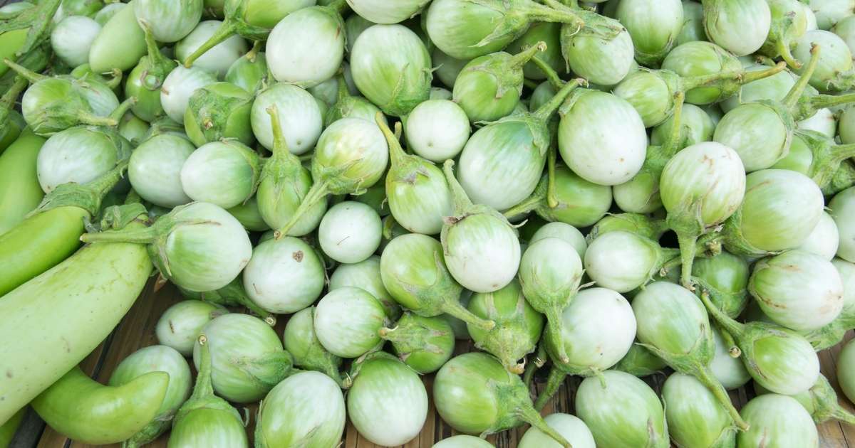 Jiló: 5 benefícios desse vegetal amargo e dicas para preparar sem exagerar no sabor
