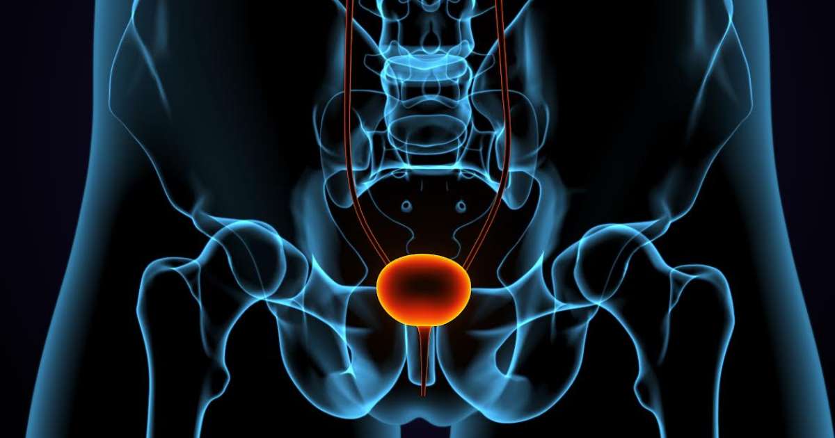 Urologista explica diferenças entre HPB e câncer de próstata