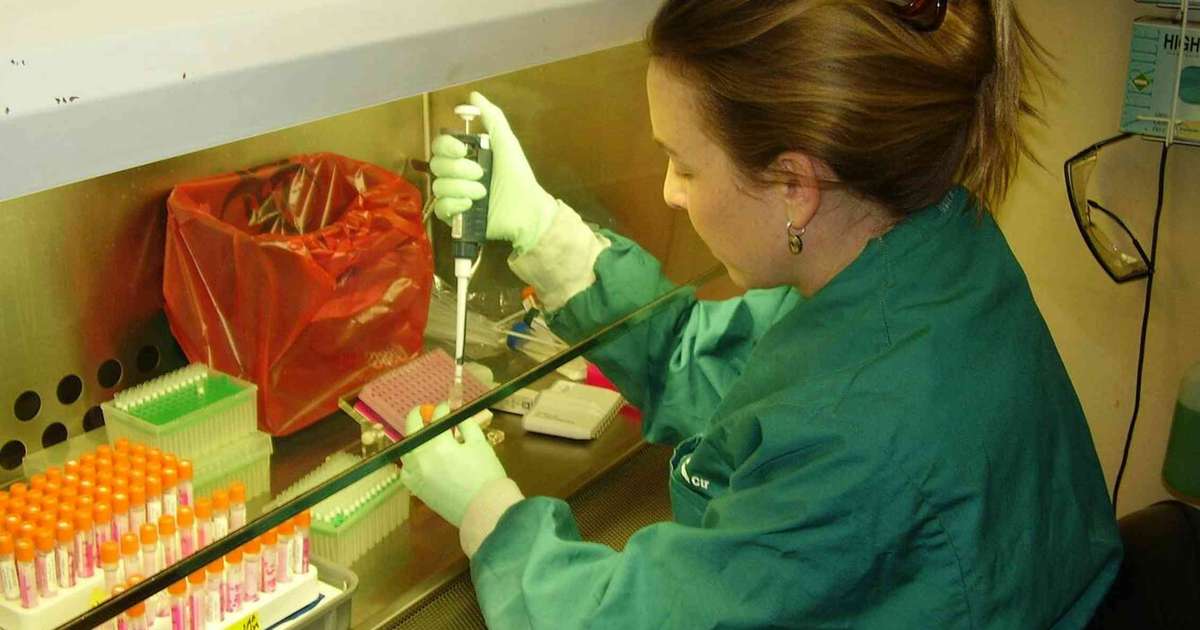 A IA pode realmente exterminar a Humanidade? Maioria dos cenários exige acesso físico, o que torna apocalipse improvável