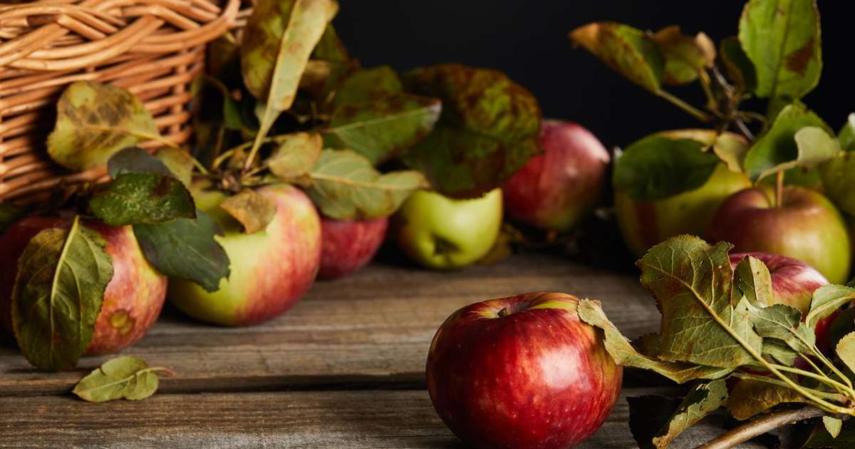 O quer acontece com seu corpo se comer uma maçã por dia?