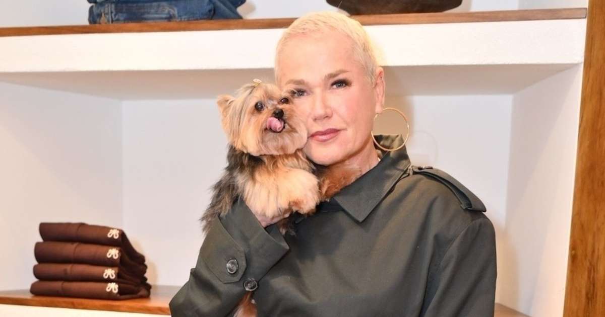 Xuxa se irrita após fã assustar sua cadela em aeroporto