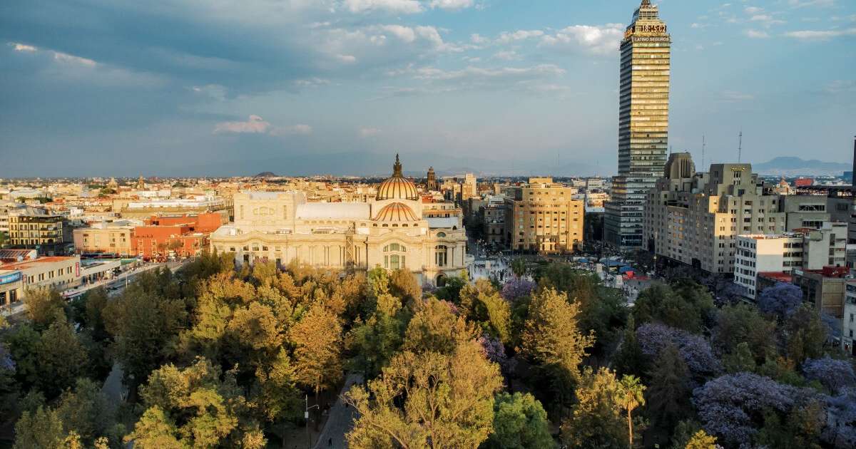 Uma cidade com árvores não é necessariamente uma cidade verde: a regra 3-30-300 explica o porquê